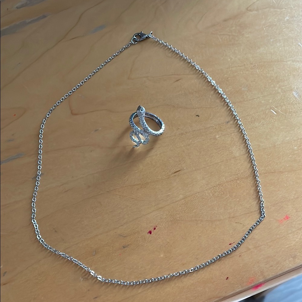 Silver chain necklace and snake ring